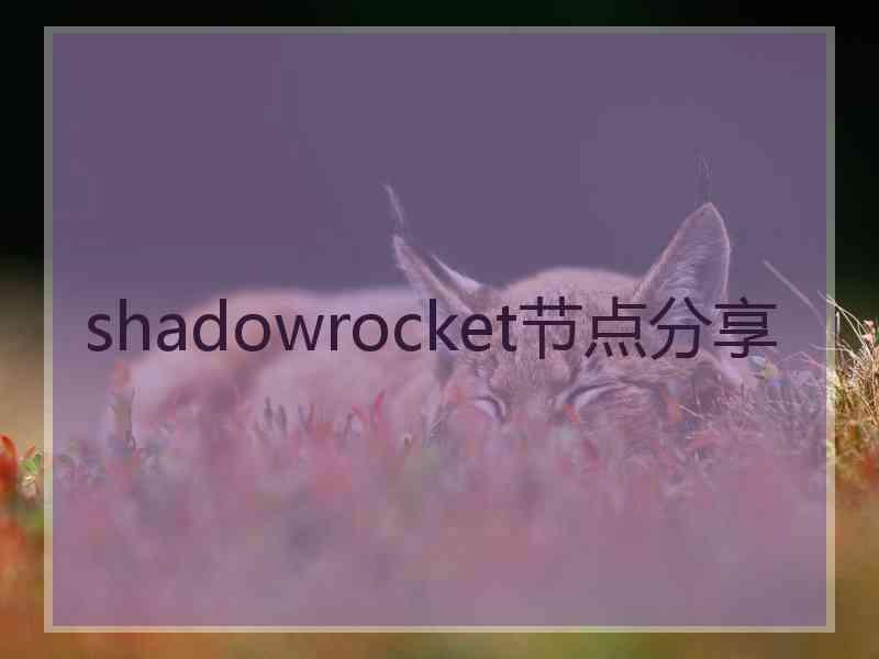 shadowrocket节点分享