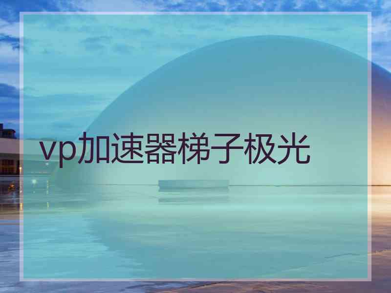 vp加速器梯子极光