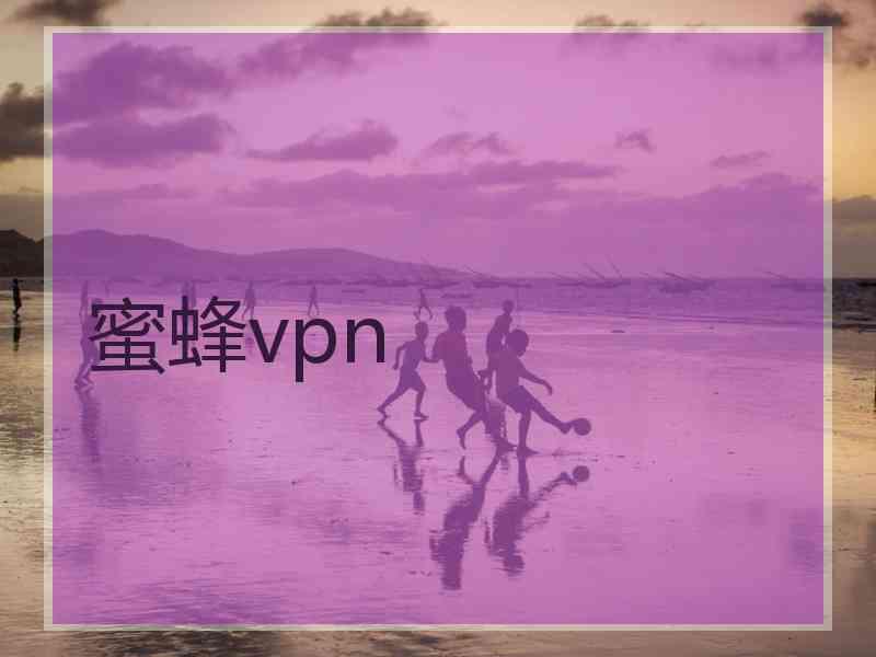 蜜蜂vpn