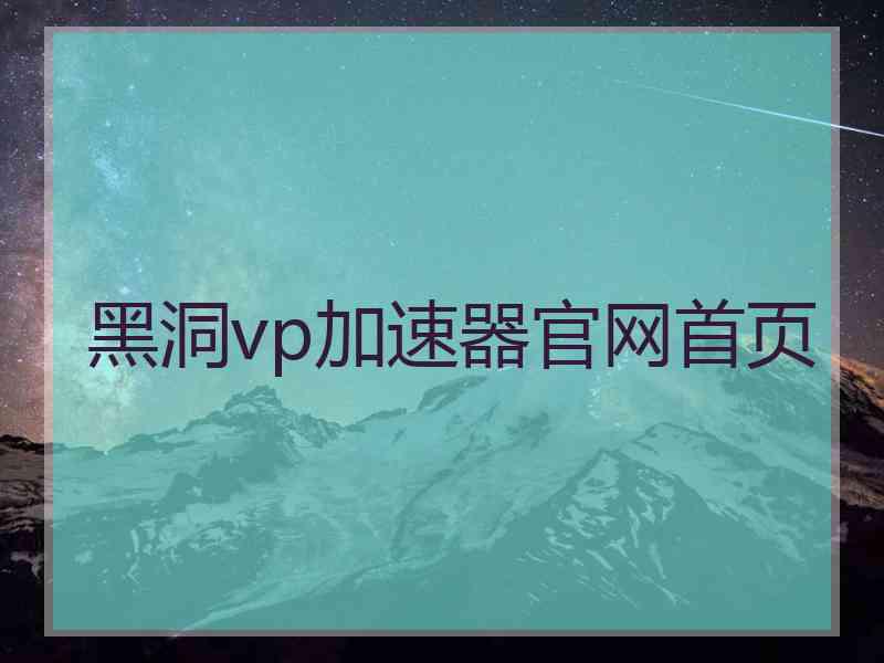 黑洞vp加速器官网首页