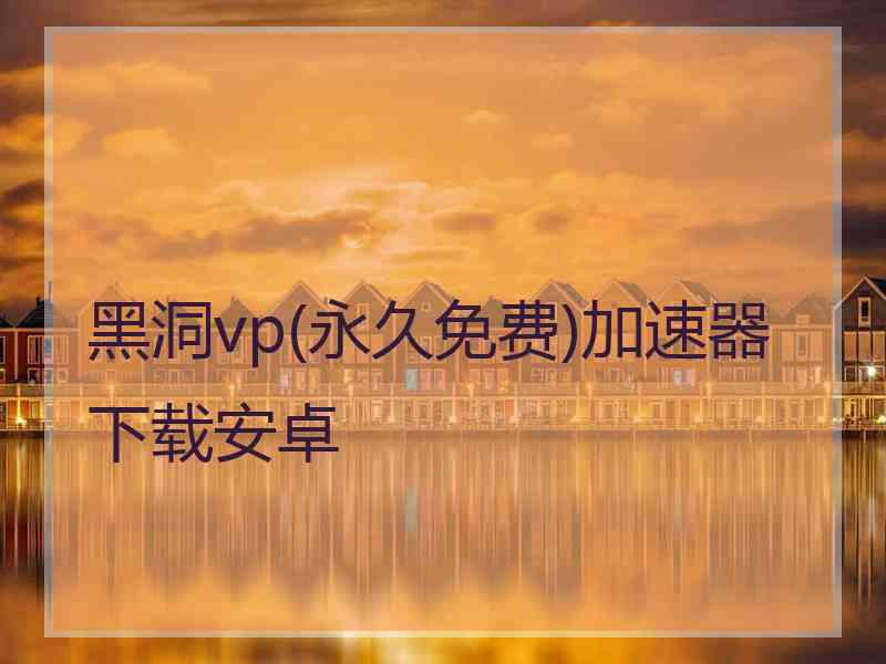 黑洞vp(永久免费)加速器下载安卓