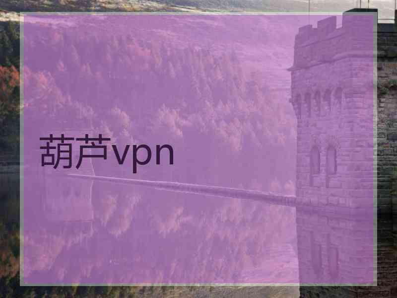 葫芦vpn