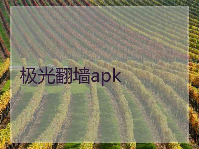 极光翻墙apk