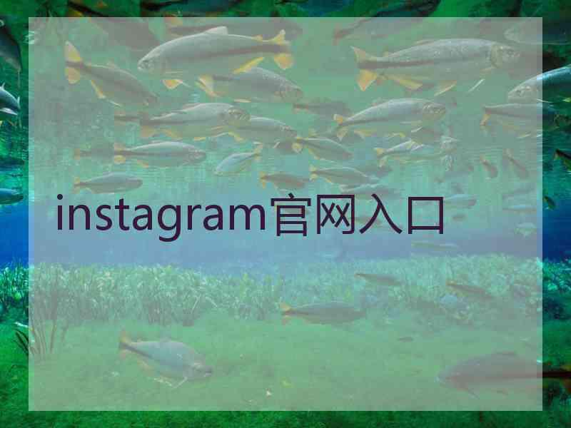 instagram官网入口