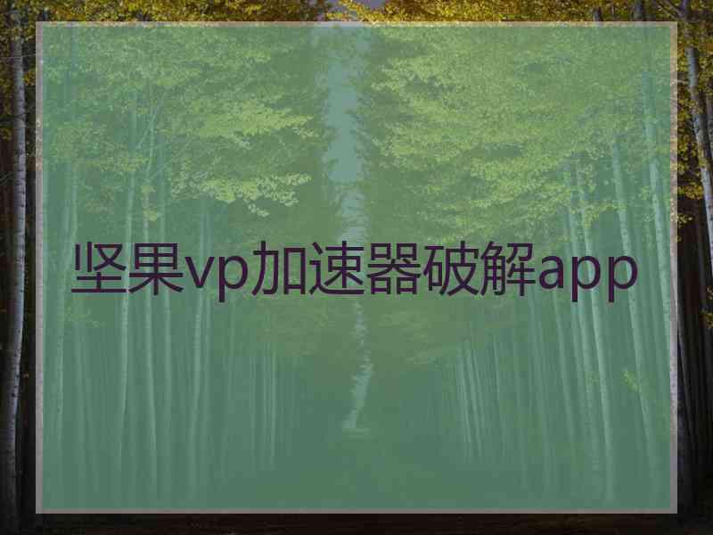 坚果vp加速器破解app