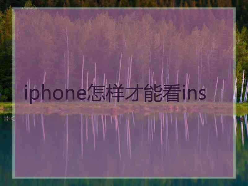 iphone怎样才能看ins