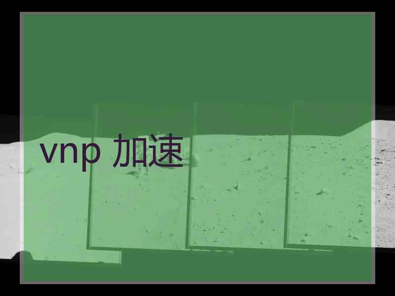 vnp 加速