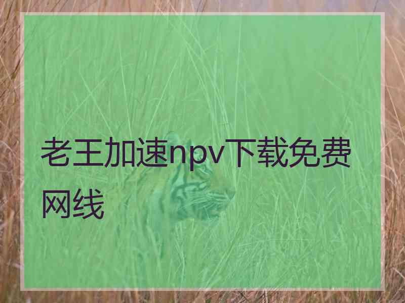 老王加速npv下载免费网线