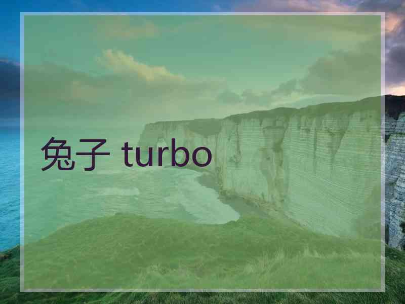 兔子 turbo