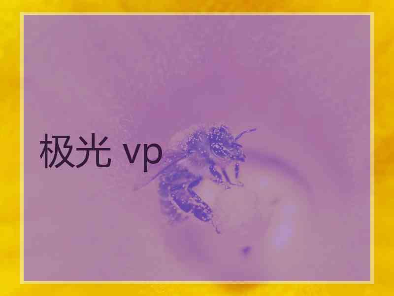 极光 vp