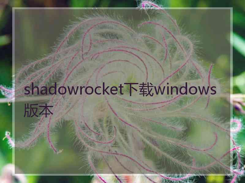 shadowrocket下载windows版本