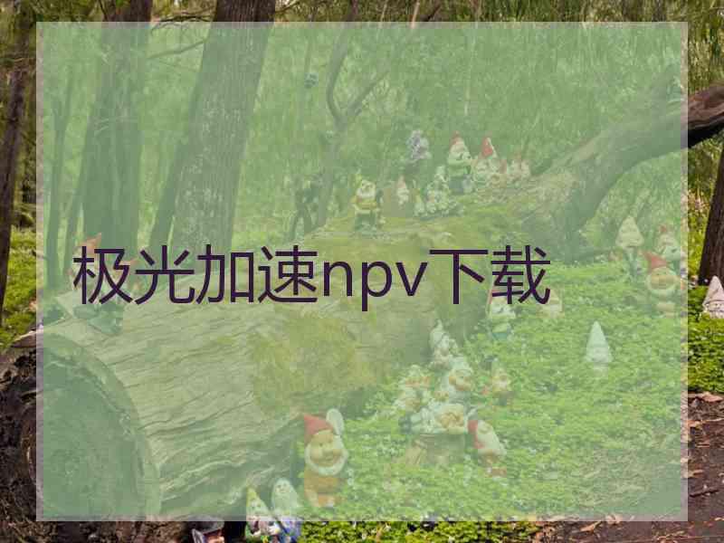 极光加速npv下载