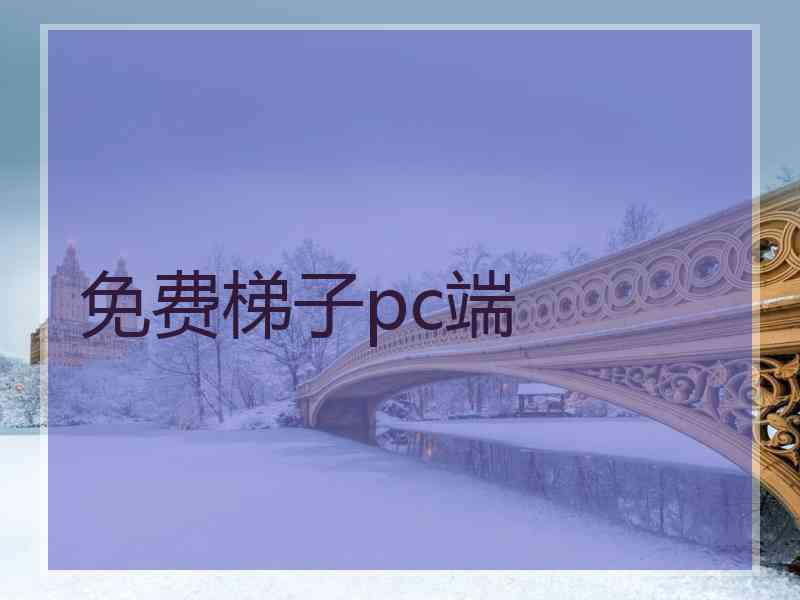 免费梯子pc端