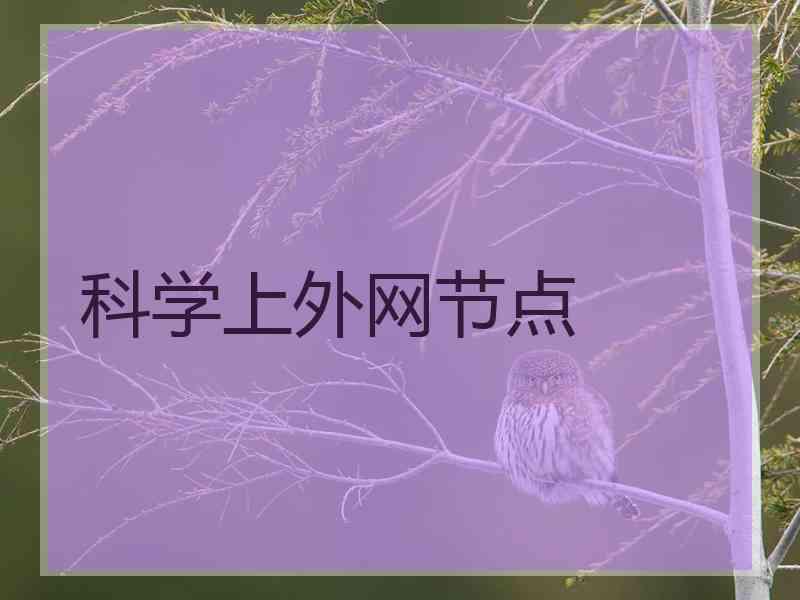 科学上外网节点