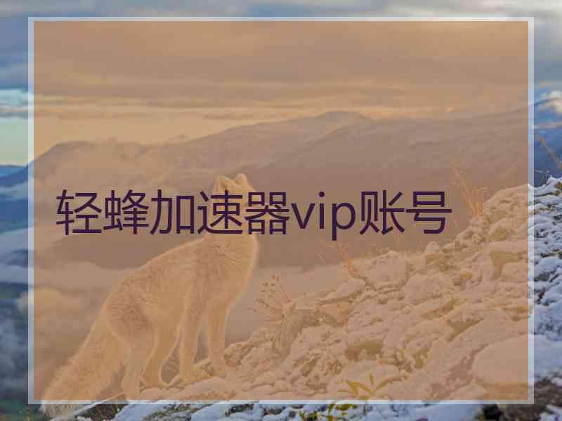 轻蜂加速器vip账号