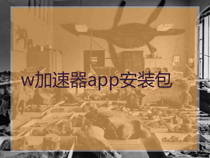 w加速器app安装包