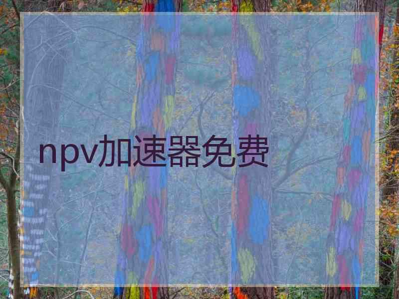 npv加速器免费