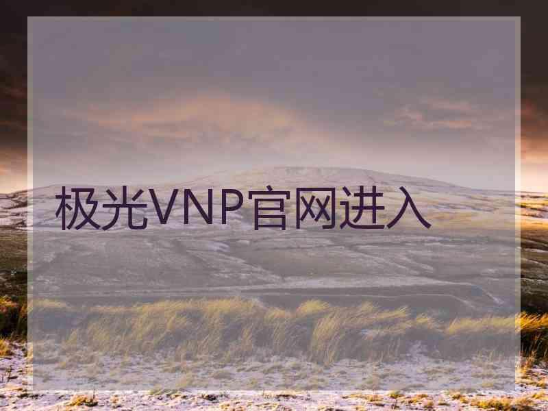 极光VNP官网进入