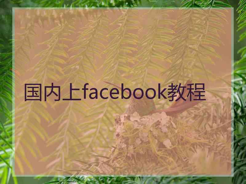 国内上facebook教程