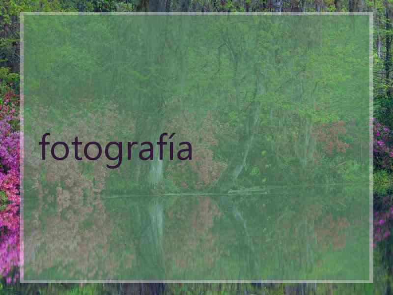 fotografía