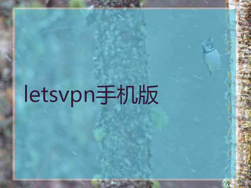 letsvpn手机版