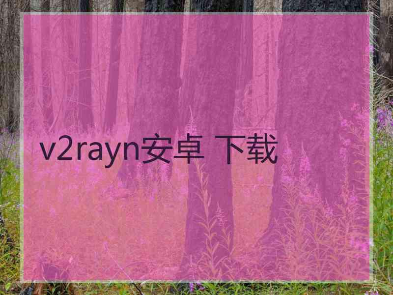 v2rayn安卓 下载