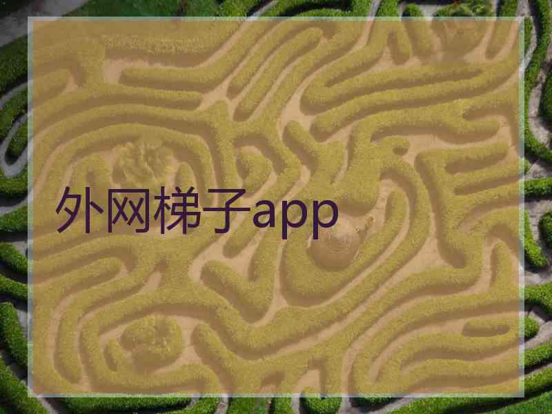 外网梯子app