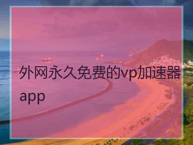 外网永久免费的vp加速器app