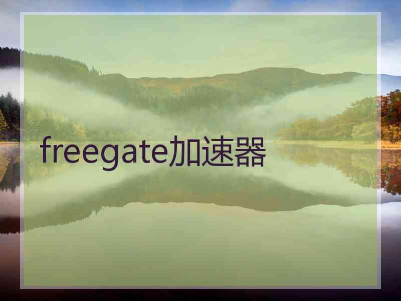 freegate加速器