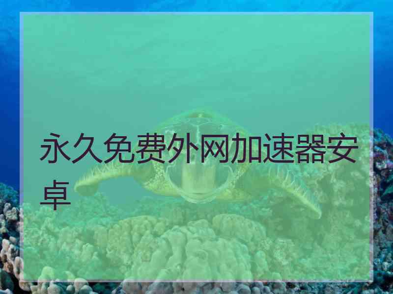 永久免费外网加速器安卓