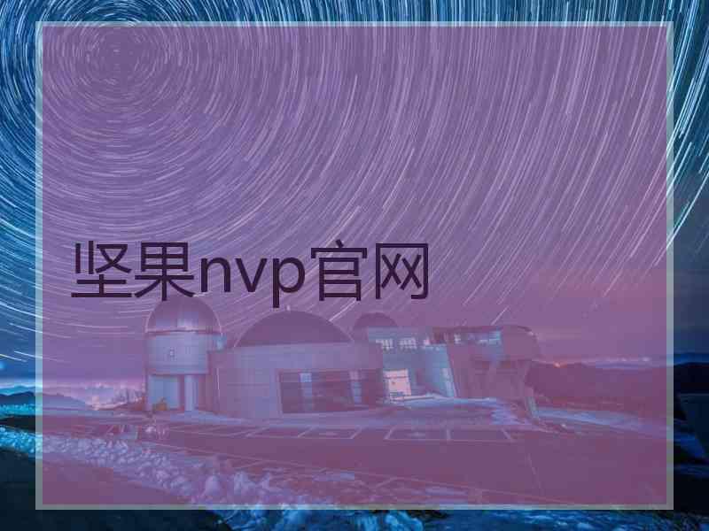 坚果nvp官网