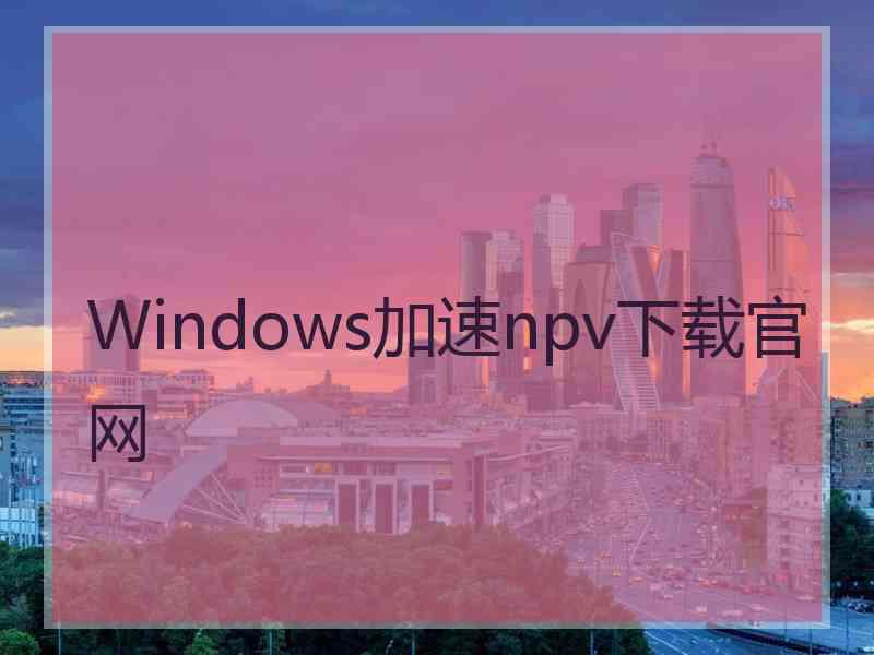 Windows加速npv下载官网