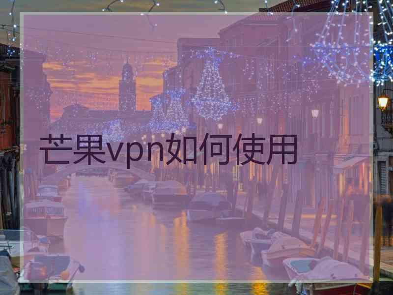 芒果vpn如何使用