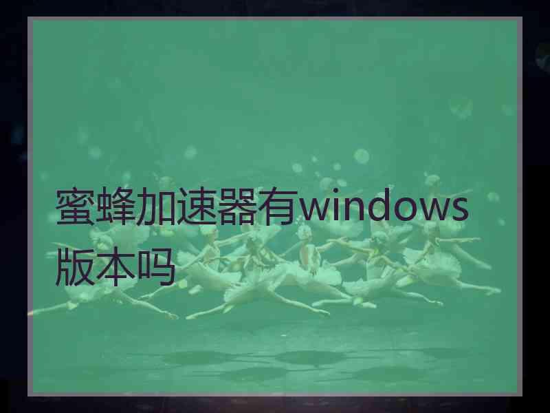 蜜蜂加速器有windows版本吗