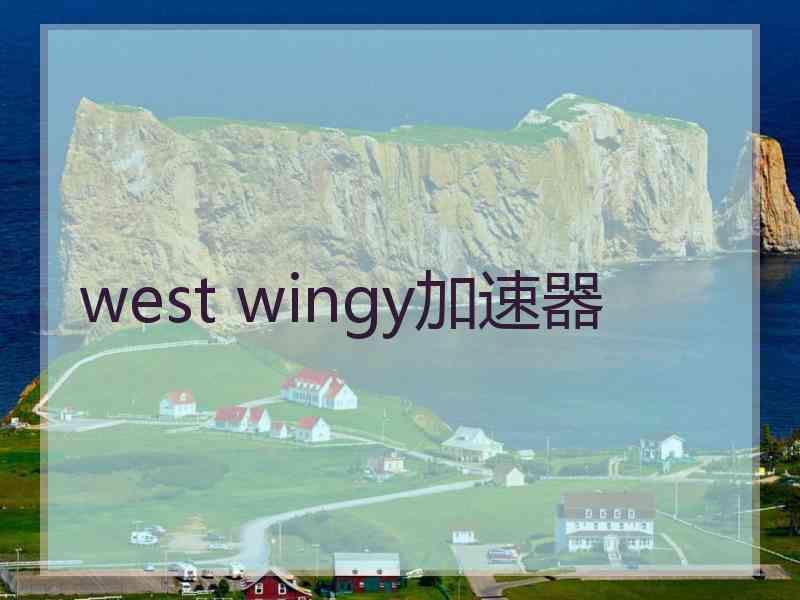 west wingy加速器