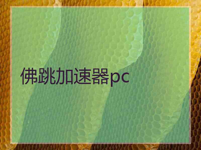 佛跳加速器pc