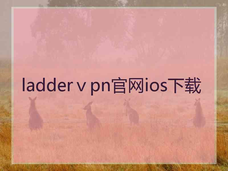 ladderⅴpn官网ios下载