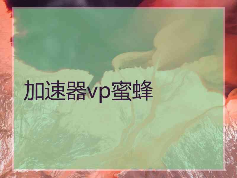 加速器vp蜜蜂