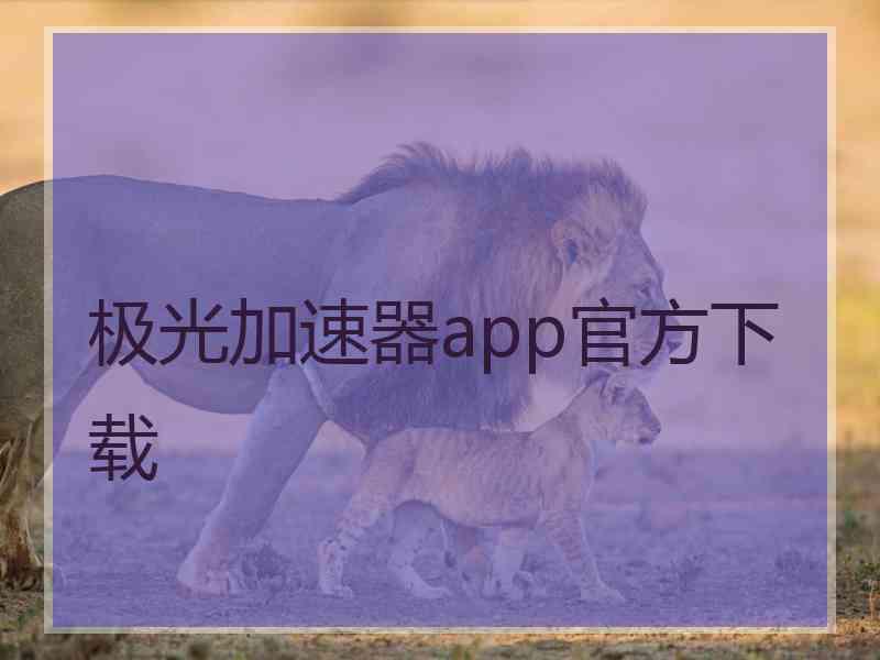 极光加速器app官方下载