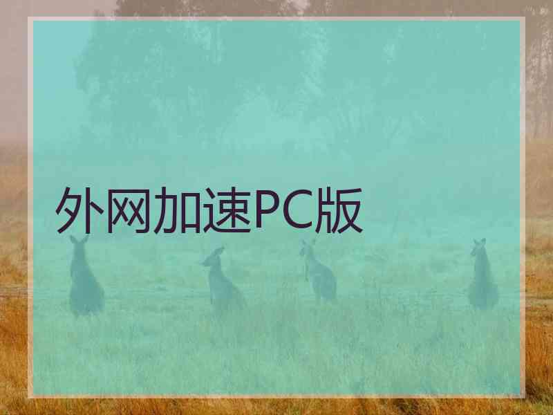 外网加速PC版