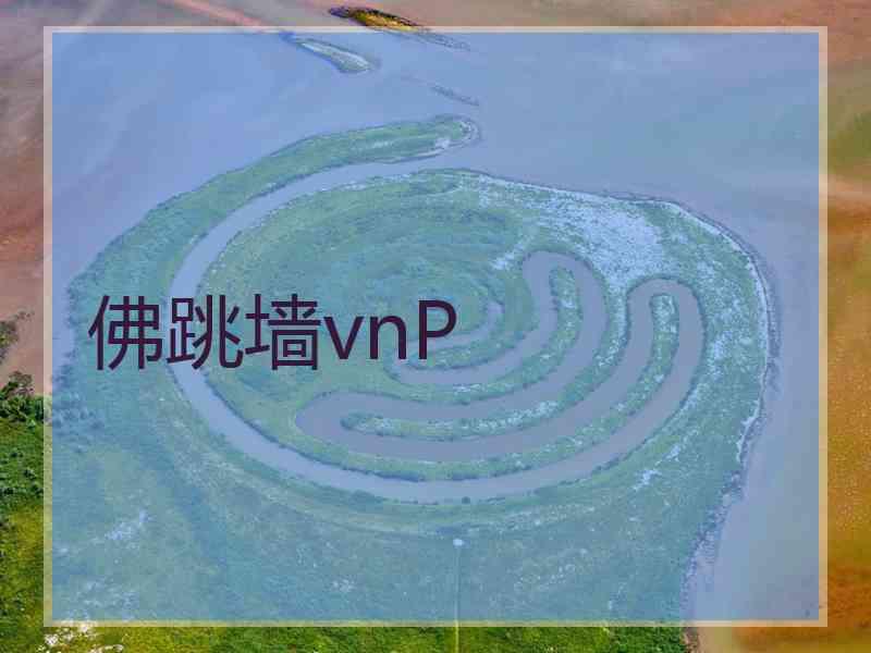 佛跳墙vnP