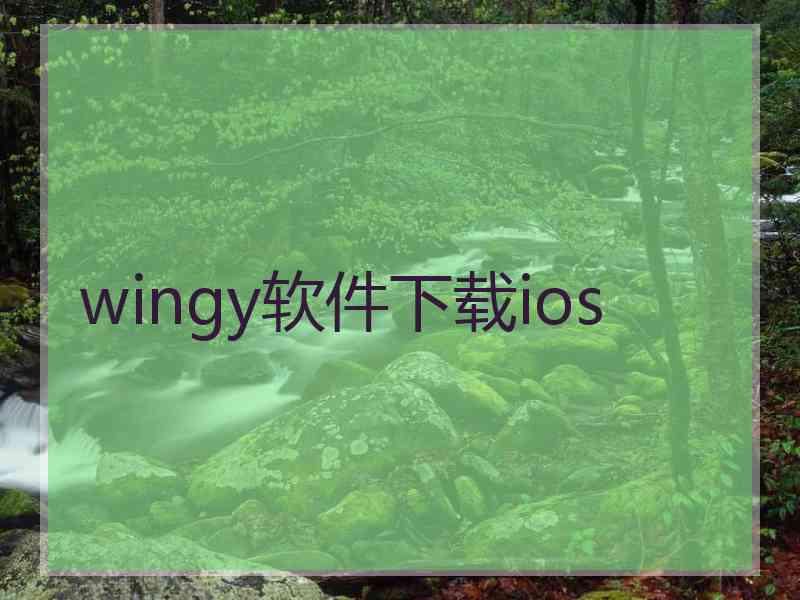 wingy软件下载ios