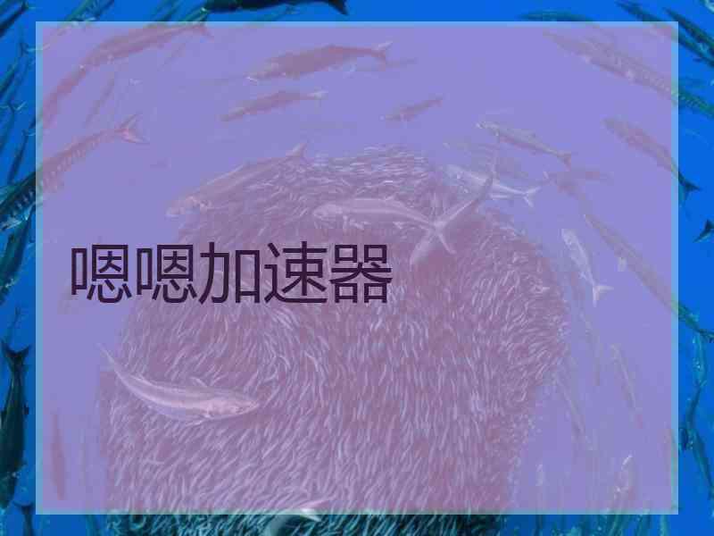 嗯嗯加速器