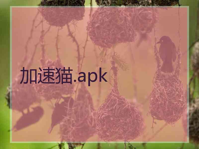 加速猫.apk