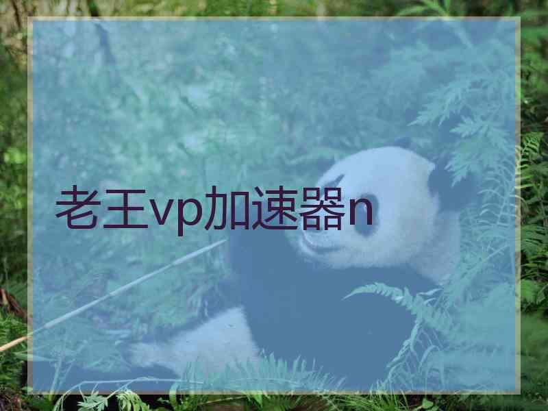 老王vp加速器n