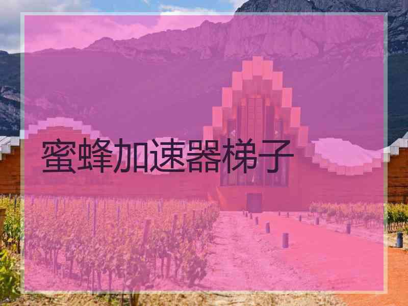 蜜蜂加速器梯子