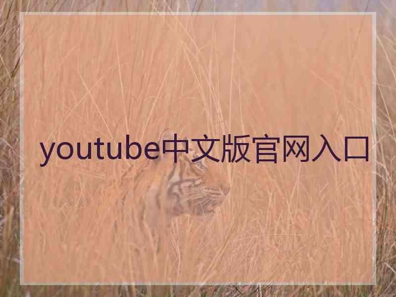 youtube中文版官网入口