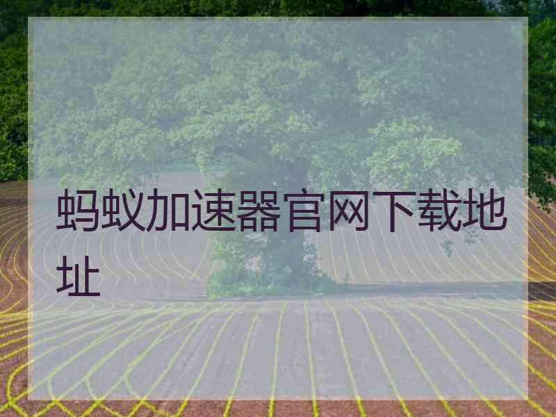 蚂蚁加速器官网下载地址