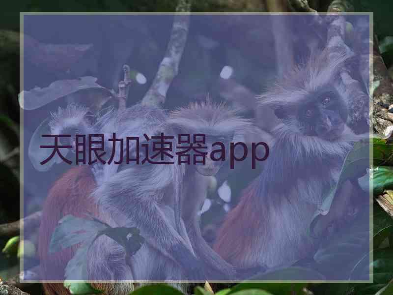 天眼加速器app