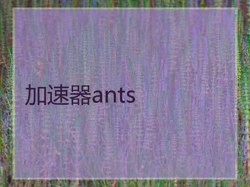 加速器ants